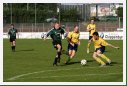 Vieselbach-Bischleben II_39